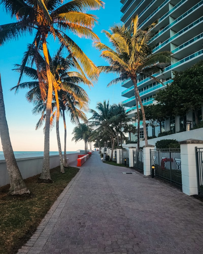 Palm-lined oceanfront walkway beside residential towers